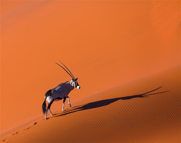 Namibia mit Muße @ JUAN CARLOS MUNOZ /adobestock
